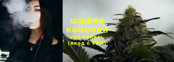 PSILOCYBIN Новозыбков