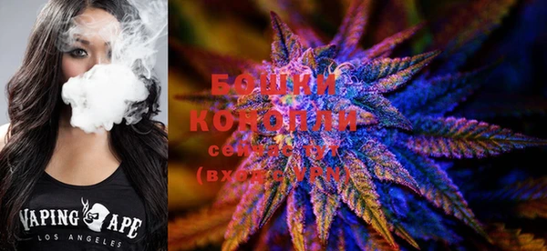 ПСИЛОЦИБИНОВЫЕ ГРИБЫ Елабуга