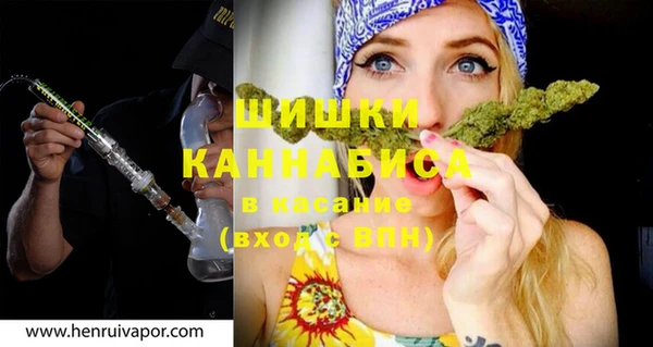 PSILOCYBIN Новозыбков